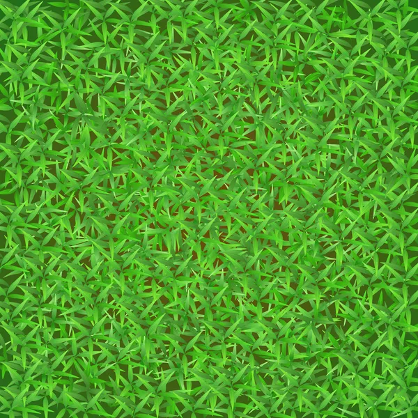 緑の草原 — ストックベクタ