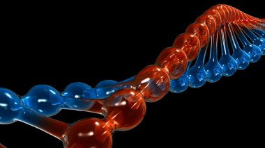 DNA iplik 1