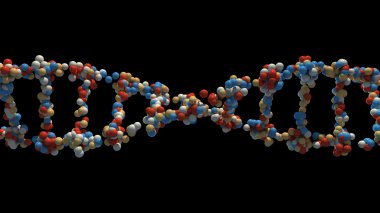 DNA iplik 3