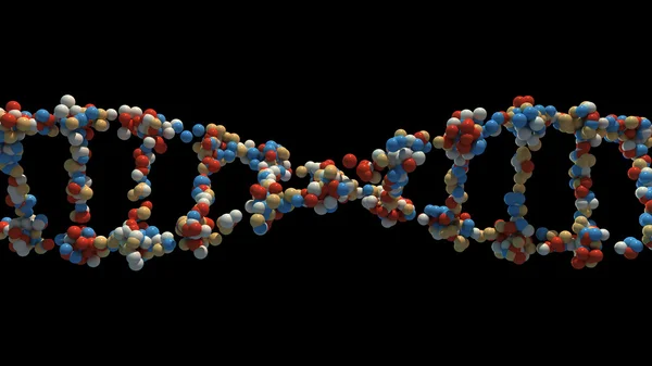 DNA iplik 3