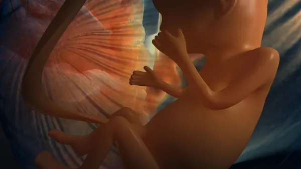 Fetus 2