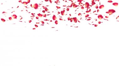 kelime kırmızı gül yaprakları ile aşk