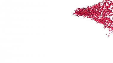 kalp kırmızı gül yaprakları ile yapılan