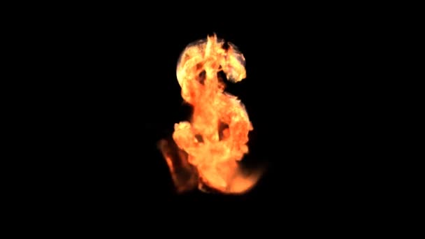 Burning dollar currency symbol isolated on black (with matte) — Stock Video