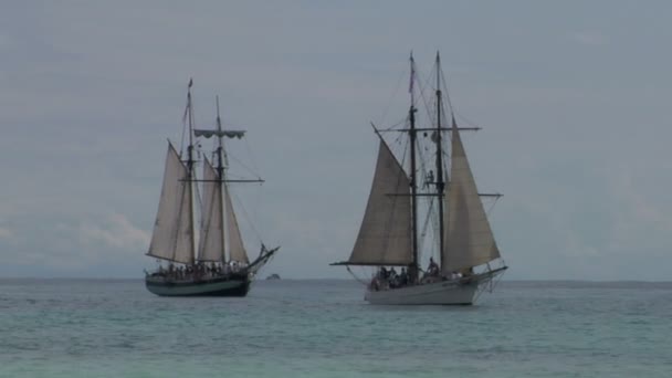 Zwei Segelschiffe — Stockvideo
