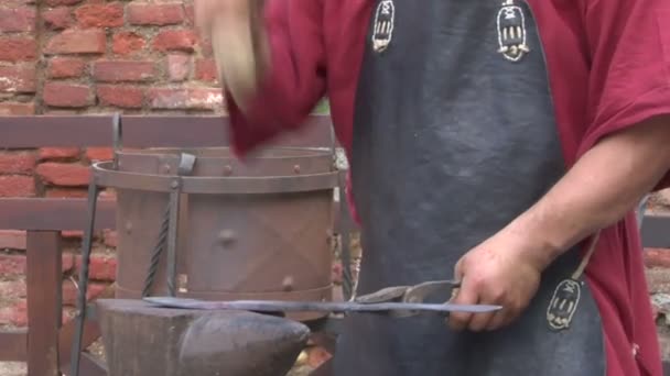 Re-enactment van de slag van legnano tussen de krachten van het Heilige Roomse Rijk en de Lombardische Liga — Stockvideo