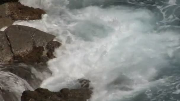 Close up of wave with plenty of foam — Stock Video