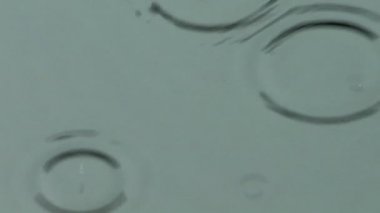 bir su birikintisine dalgalanan yağmur damlaları