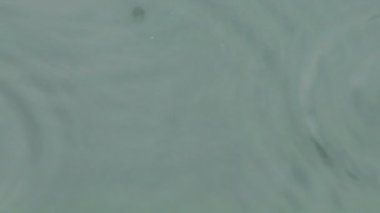 bir su birikintisine dalgalanan yağmur damlaları