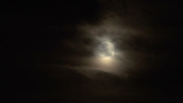 Full glowing moon on cloudy night sky time lapse — Stock Video