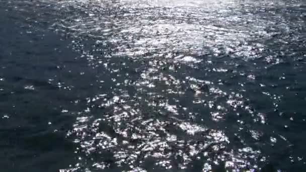 Su yüzey dokusunu dalgalanma yansıma — Stok video