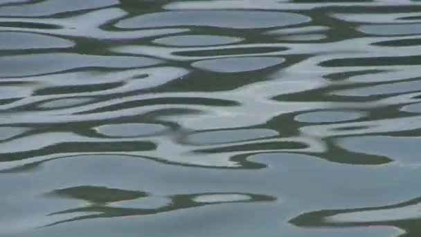 Water textuur rimpel reflectie — Stockvideo