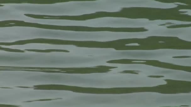 Chropowatości powierzchni wody marszczyć odbicie — Wideo stockowe