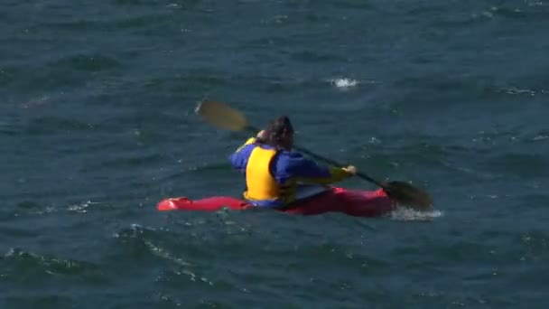 Athletic man kayaking in trouble waters — Wideo stockowe