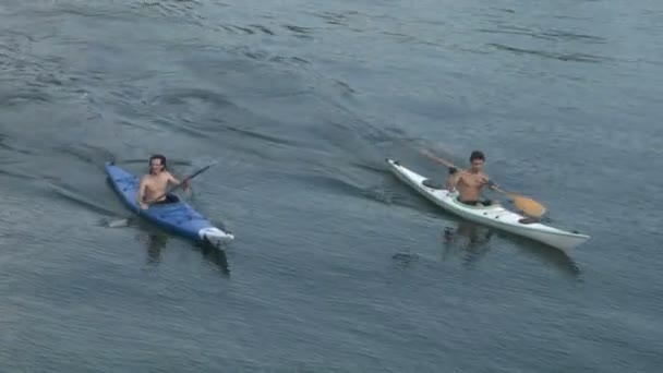 Kajakken op een rivier — Stockvideo