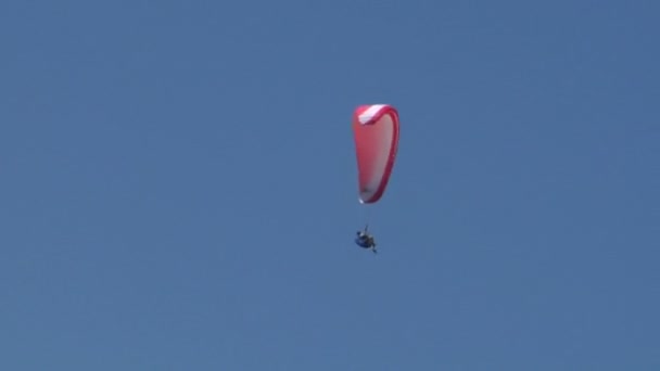 Färgglada paraglida på blå himmel — Stockvideo