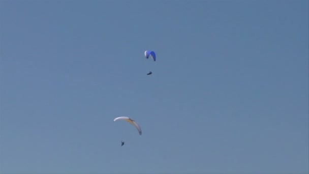 Färgglada paraglida på blå himmel — Stockvideo