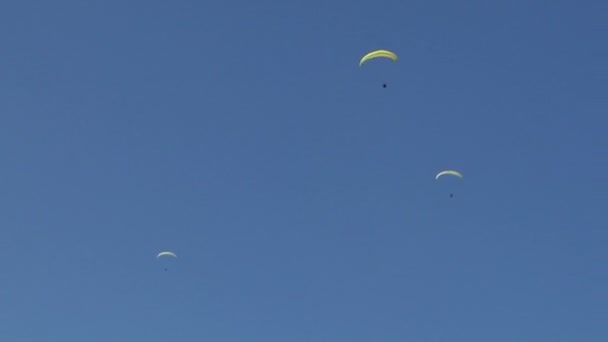 Colorful paraglide on blue sky — Stock Video
