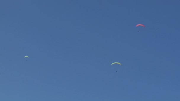 Kleurrijke paragliden op blauwe hemel — Stockvideo