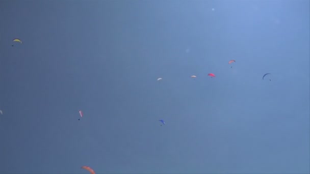 Parapente colorido no céu azul — Vídeo de Stock