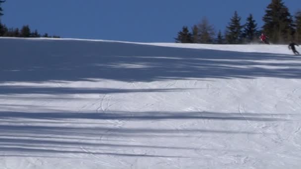 Esquiador cámara lenta — Vídeos de Stock