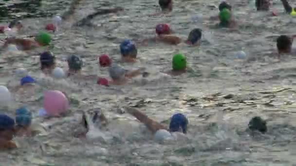 Zwemmen atleten in een triatlon wedstrijd — Stockvideo