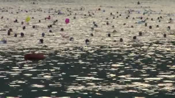 Schwimmer im Triathlonwettbewerb — Stockvideo