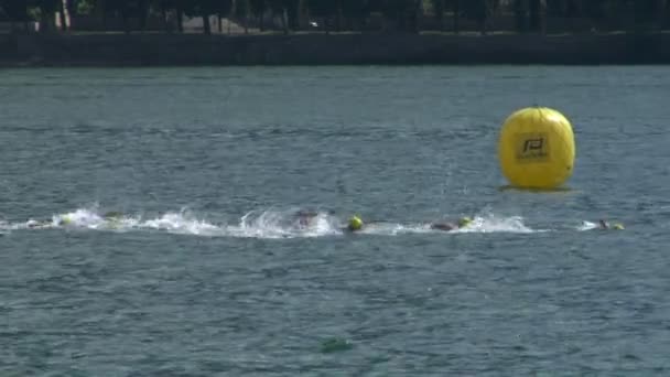 Athlètes de natation dans une compétition de triathlon — Video