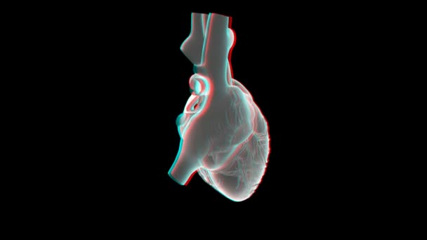 Coeur humain à rayons X avec mat 