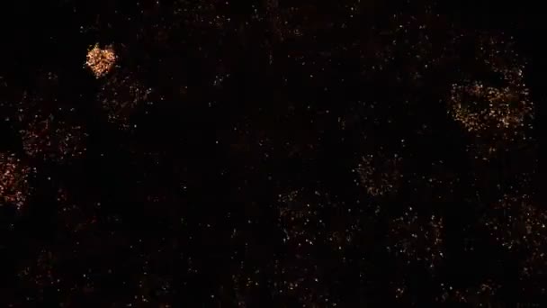 Spettacolo di fuochi d'artificio sull'acqua — Video Stock