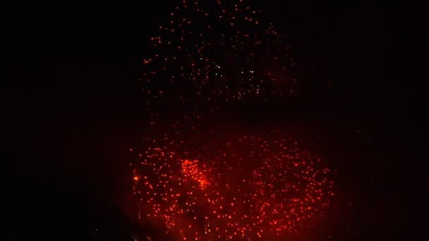 Феєрверк відображається на воді зі звуком — стокове відео
