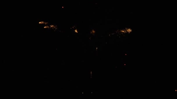 Affichage de feux d'artifice sur l'eau avec son 