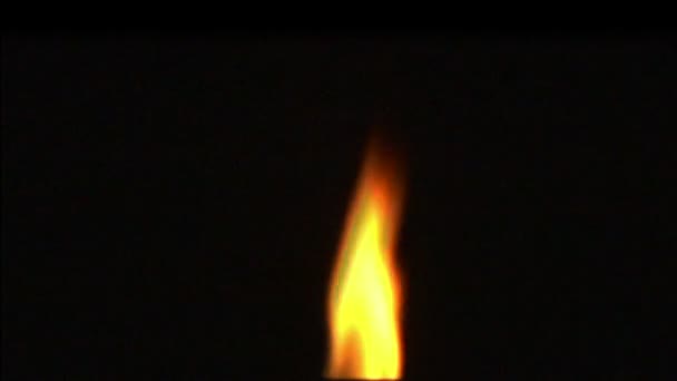 Close-up of burning candle isolated on black background — Stock Video