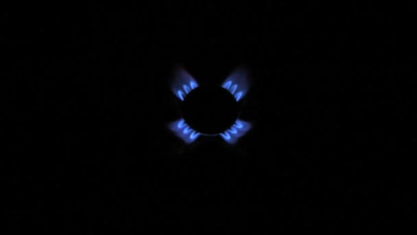 Las llamas azules de la estufa de gas — Vídeos de Stock