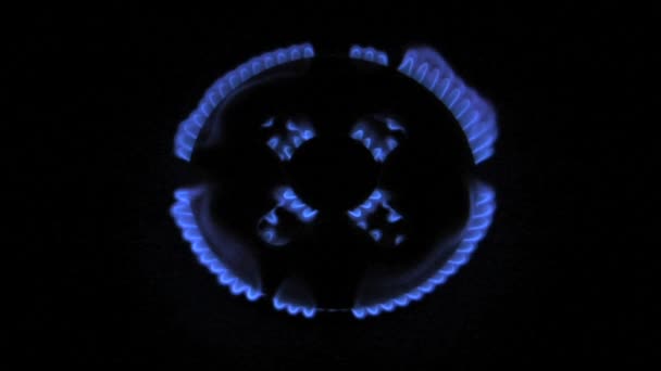 Flammes bleues du poêle à gaz — Video