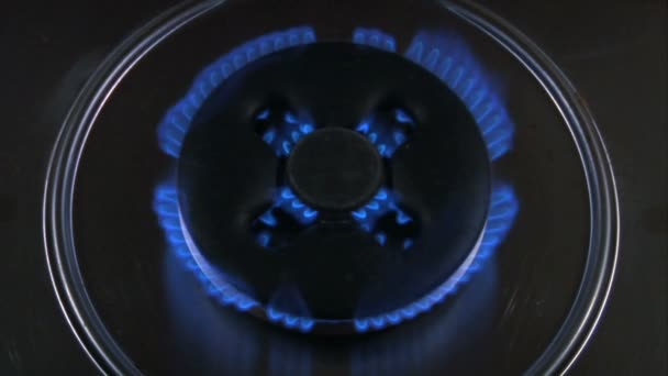 Blue flames of gas stove — Stock Video