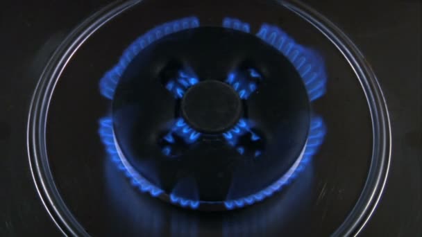 Blue flames of gas stove — Stock Video