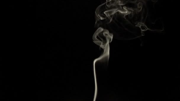 Rauch Zeitlupe auf schwarzem Hintergrund — Stockvideo