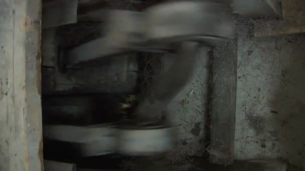 박제 연구실에 오래 된 기계 — 비디오