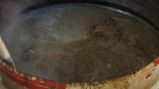 박제 실험실에 있는 나머지 살을 제거 하는 물에 끓는 두개골 — 비디오