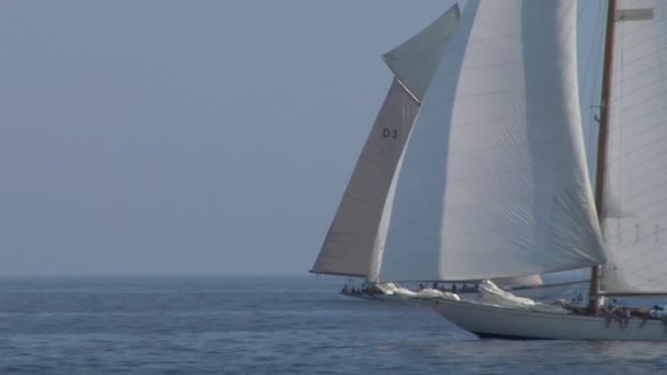 Old sail 04 — Stock Video