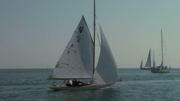 Ancienne régate de voile 01 