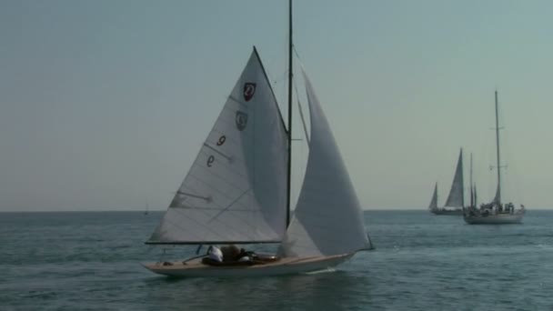 Alte Segelregatta 01 — Stockvideo