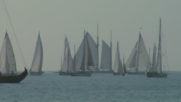 Ancienne régate de voile 04 