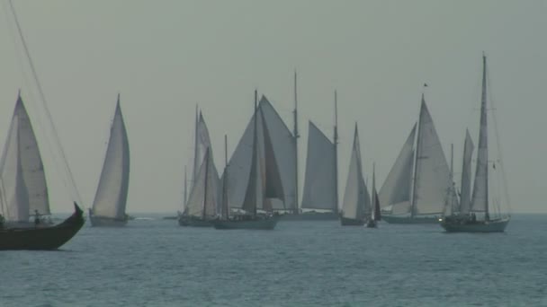 Gamla segel regatta 04 — Stockvideo