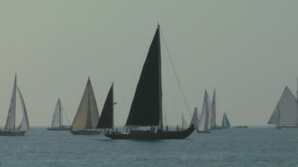 Ancienne régate de voile 05 