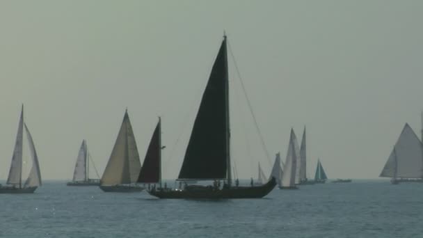 Gamla segel regatta 05 — Stockvideo