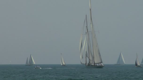 Ancienne régate de voile 07 