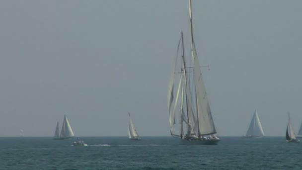 Velha regata vela 07 — Vídeo de Stock