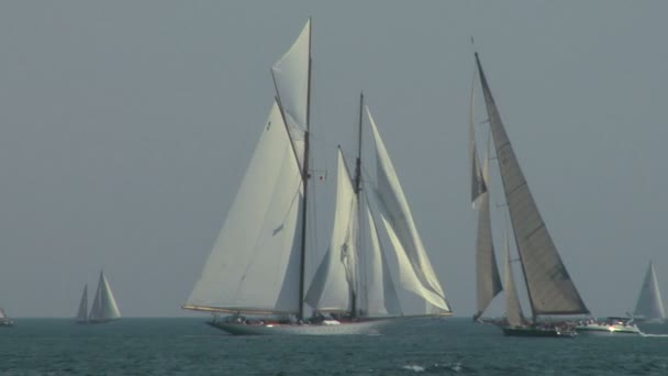 Regata de vela vieja 08 — Vídeo de stock